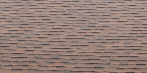 Architectural Shingle Roof